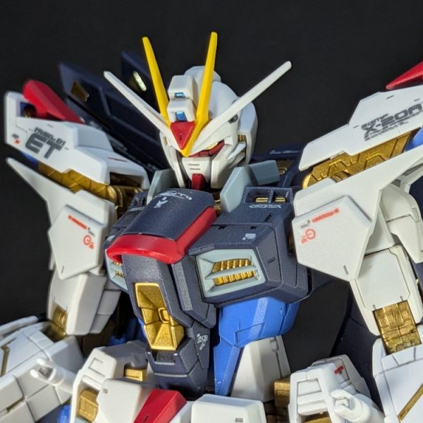 ＲＧ ストライクフリーダムガンダム