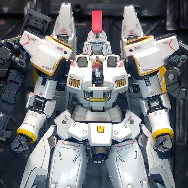 RG トールギス EW
