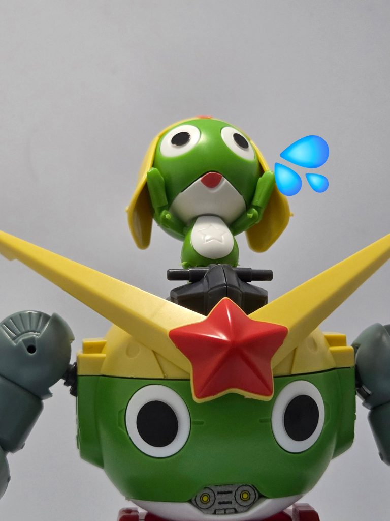「ゲロォ～！？これキャノンついてないジャーン！！」ってゆーか、認識不足？
