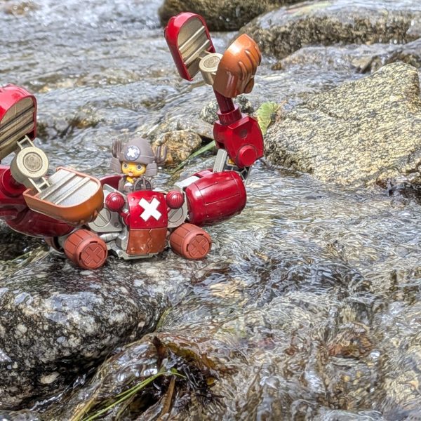 チョッパーロボ(カニ🦀)