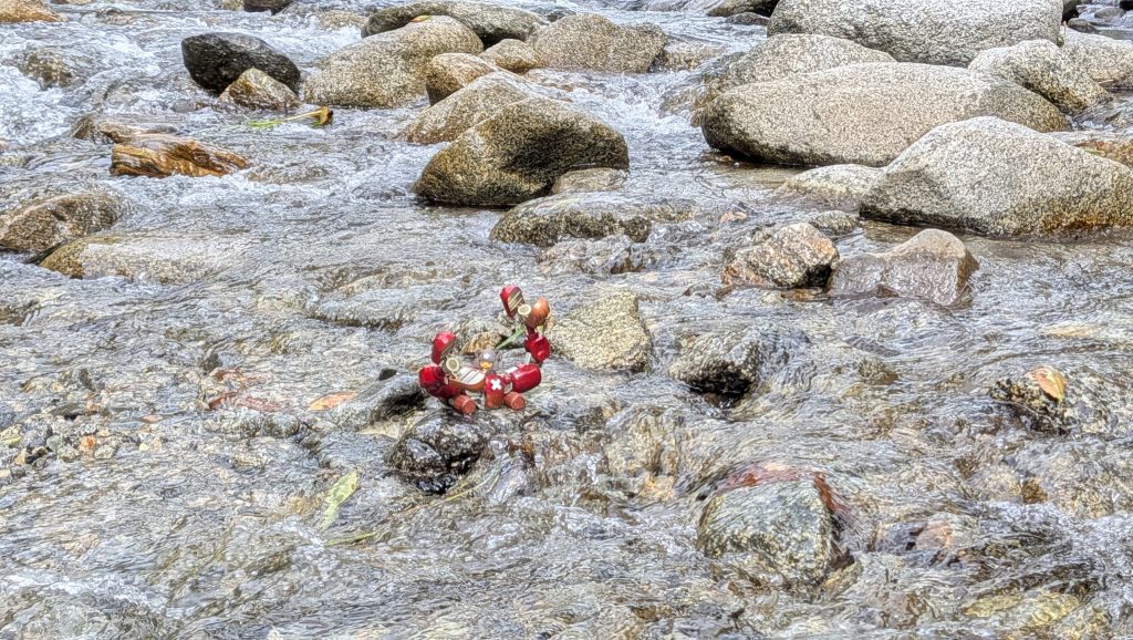 チョッパーロボ(カニ🦀)(2枚目)