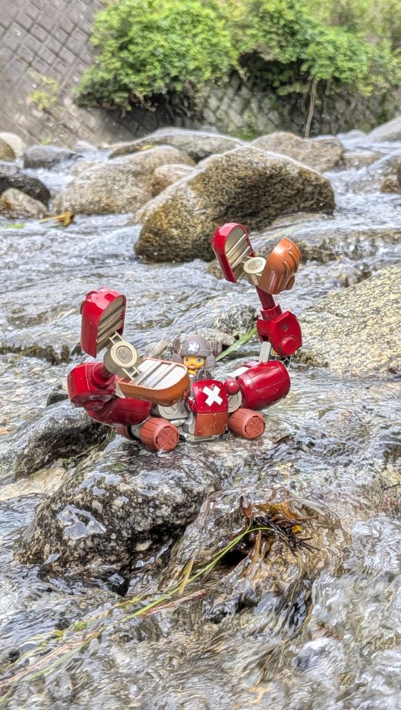 チョッパーロボ(カニ🦀)（4枚目）