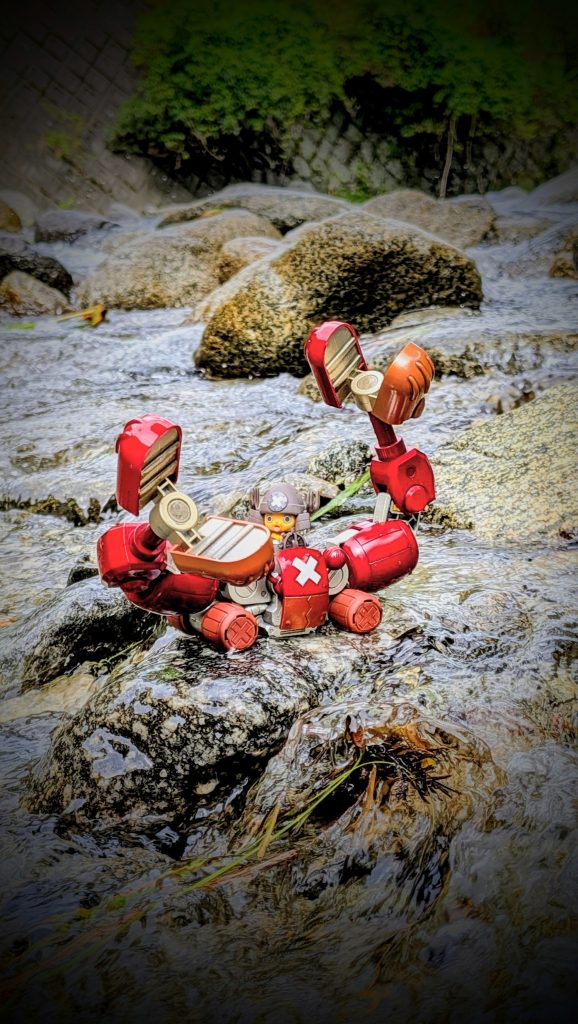 チョッパーロボ(カニ🦀)(3枚目)