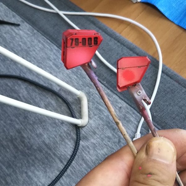 再塗装したMGジムの記憶完成品投稿はしばらく先に成増（5枚目）