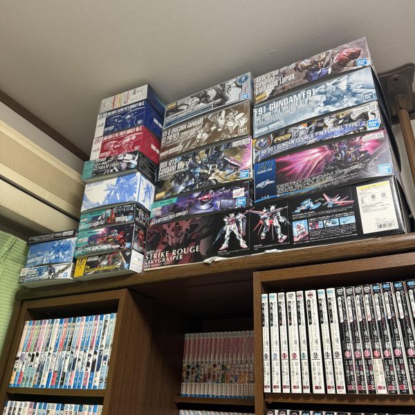 PGルージュは20年くらい前に作ったので空き箱です
