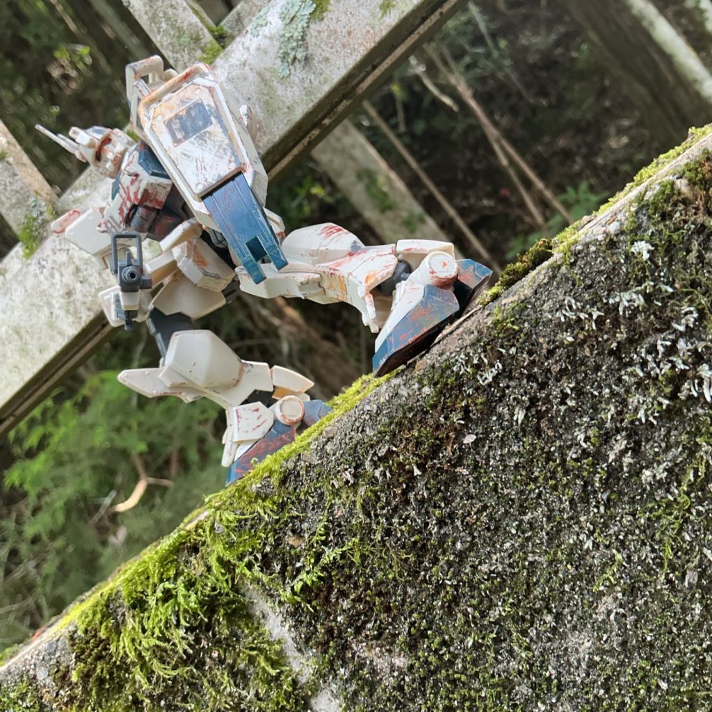下の敵を倒しました！、、、、とは言っても敵は皆さんの想像にお任せします