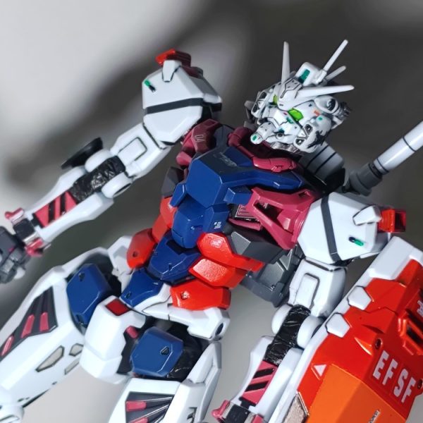 ジークアクス世界戦　サンダーボルト　ガンダムアーマーなし