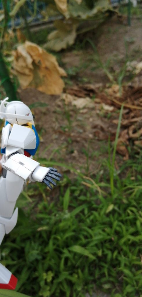 月光ちょうになりたかった ターンAガンダム