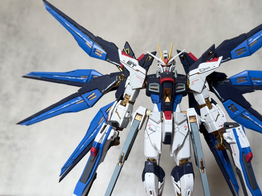 Strike Freedom