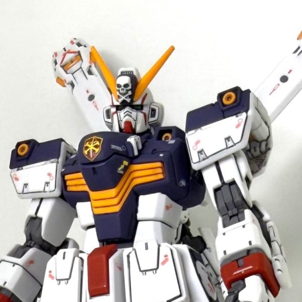 RG クロスボーン・ガンダムX1