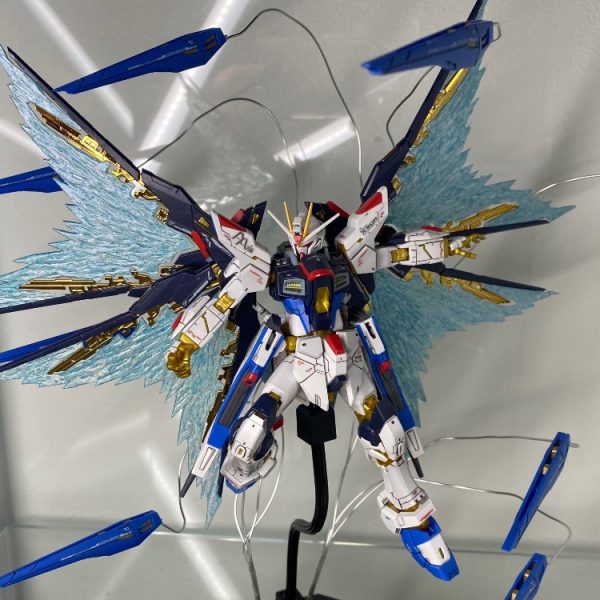 ストライクフリーダムガンダム　RG