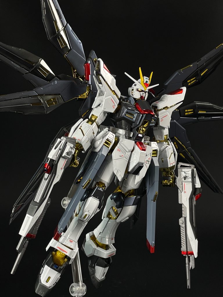 ストライクフリーダムガンダム［チタニウムフィニッシュ］RG–4枚目/制作者：そね@