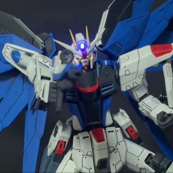 RGフリーダム電飾改造
