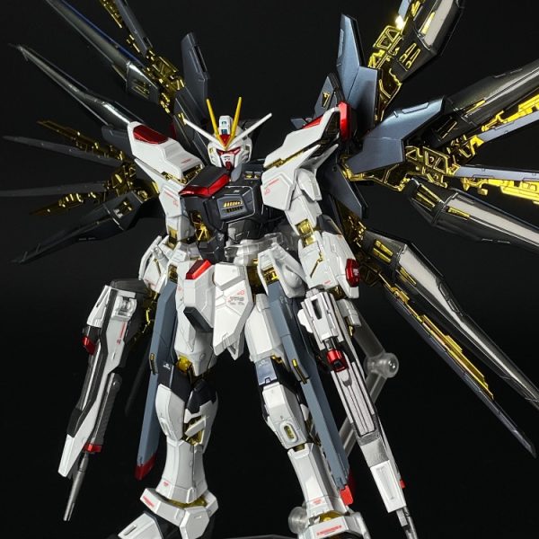 ストライクフリーダムガンダム［チタニウムフィニッシュ］RG
