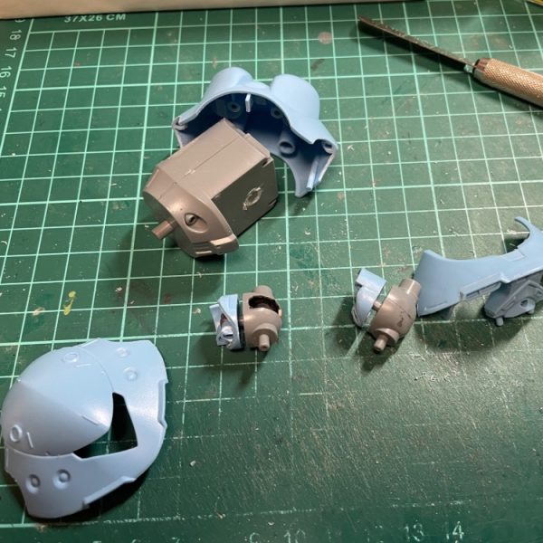 せっかくだから