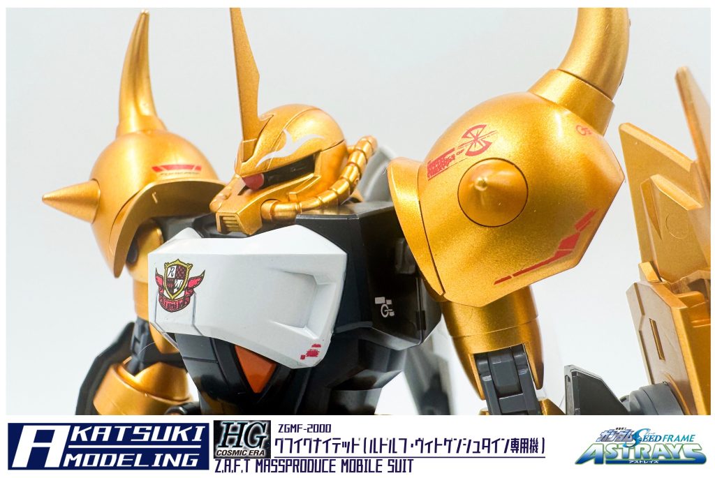 HG 1/144 ZGMF-2000 グフイグナイテッド（ルドルフ・ヴィトゲンシュタイン専用機）