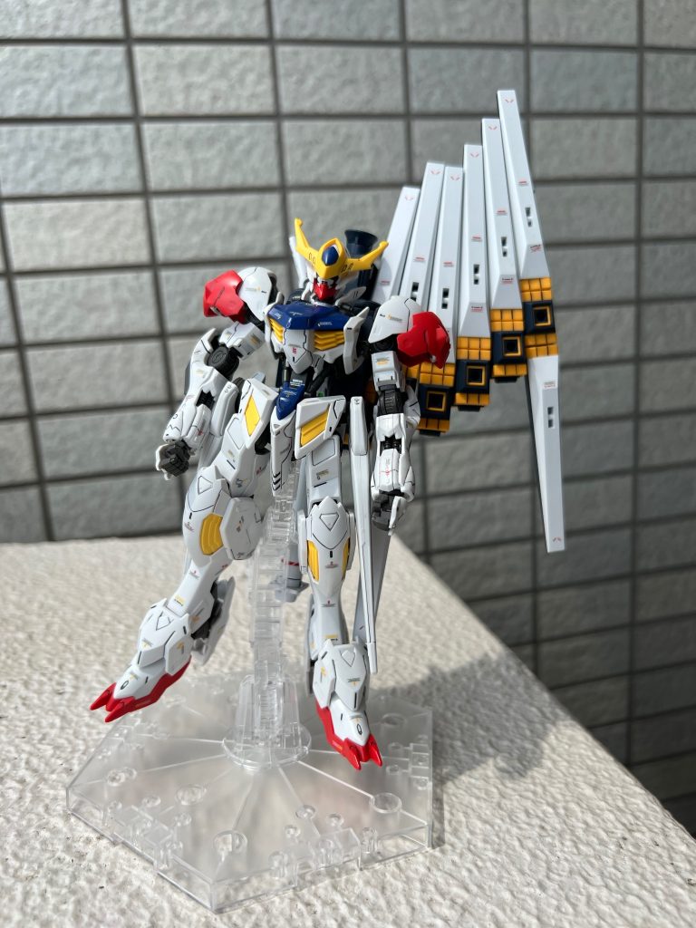 ⑤ルプス