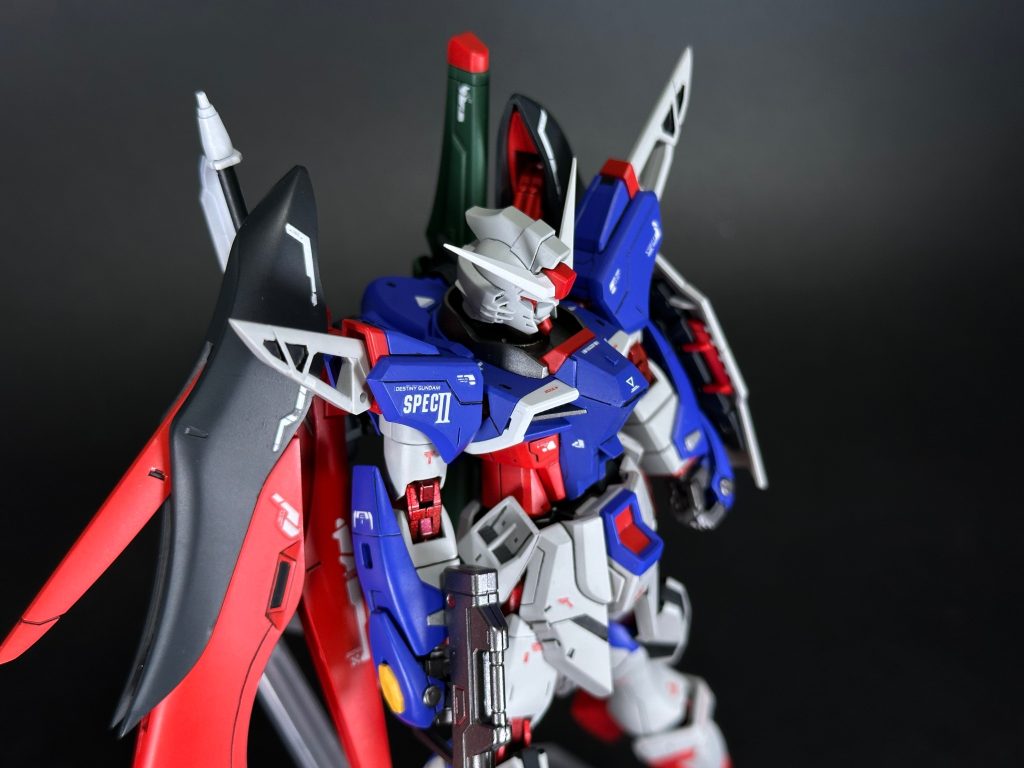 HG デスティニーガンダムspecⅡ RGミキシング