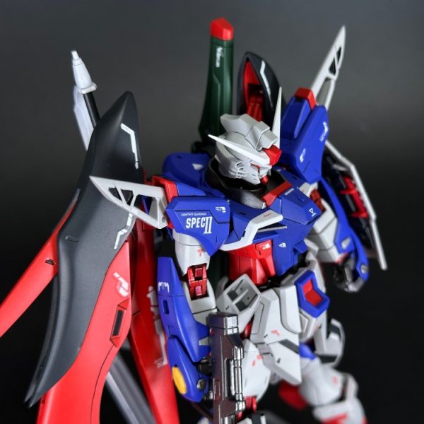 HG デスティニーガンダムspecⅡ RGミキシング