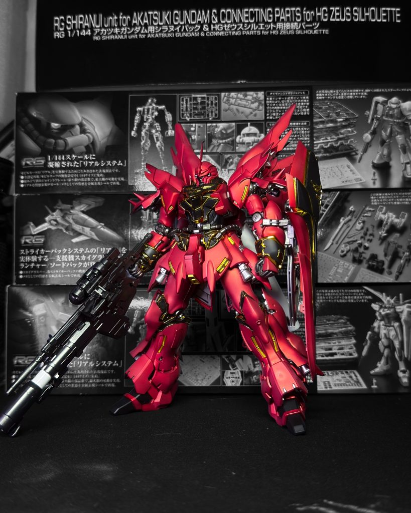RG Sinaju painted build