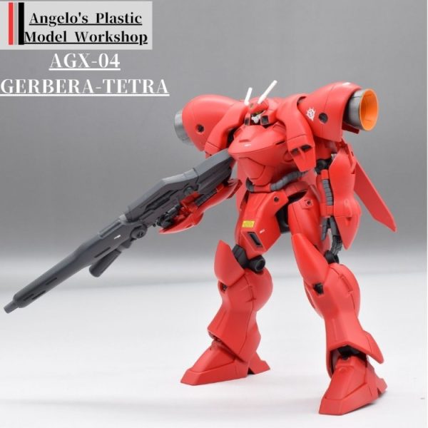 ガーベラテトラ　ロールアウト