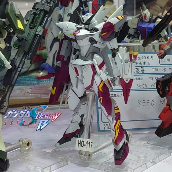 ROBOT魂(旧版)•リリー専用型•ブリッツガンダム