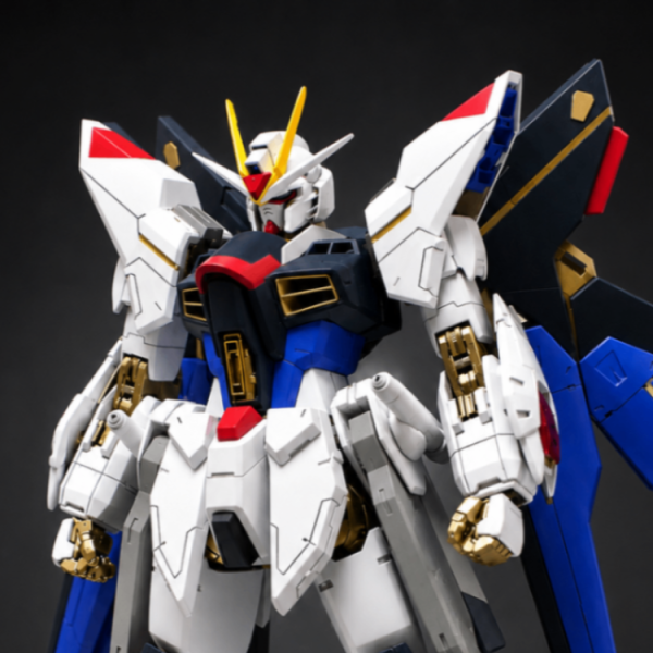 HG ストライクフリーダム