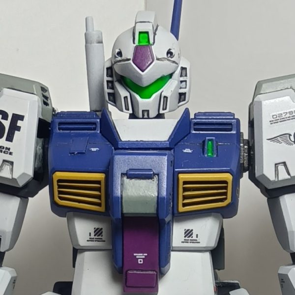 ジムクゥエルのオフショットです