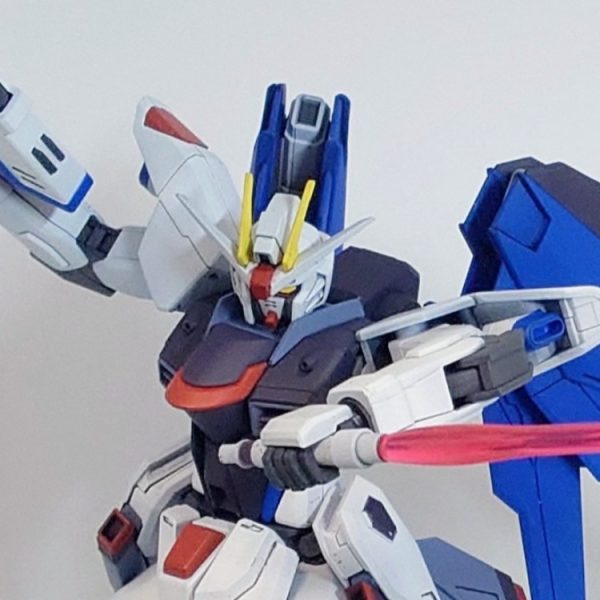 【HG】フリーダムガンダム【エアブラシ全塗装】