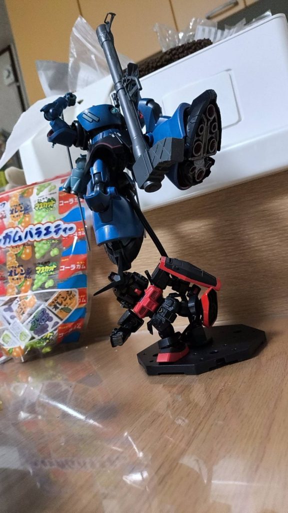 ドムと比べたら小さいなー可愛い&nbsp;
