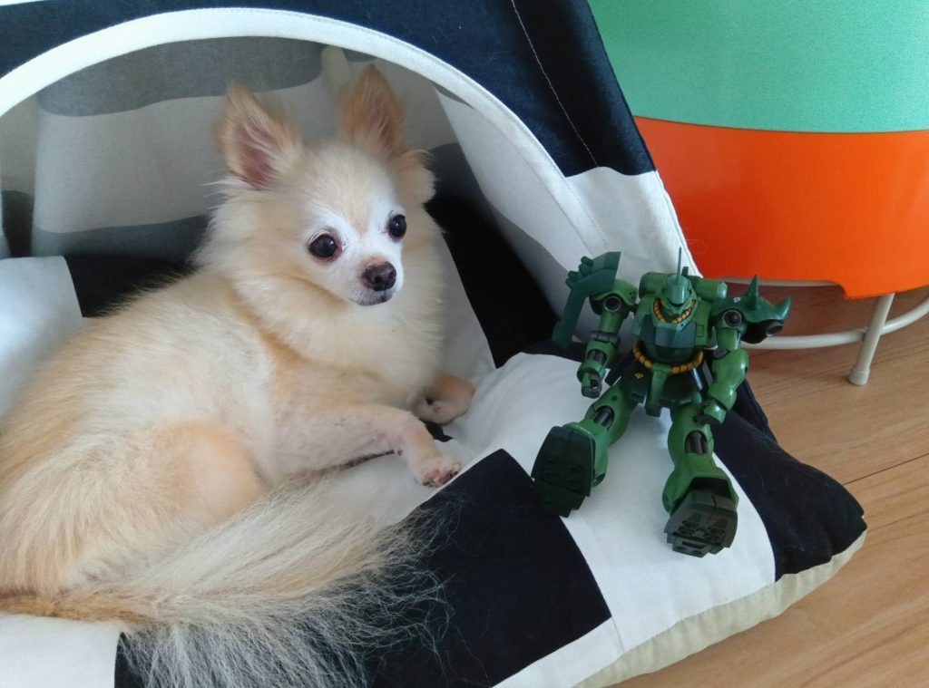 息子の部屋にお邪魔してみました。