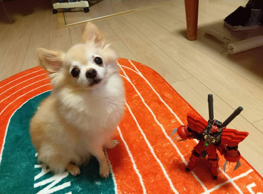 閲覧ありがとうございました(zaku-kao5)