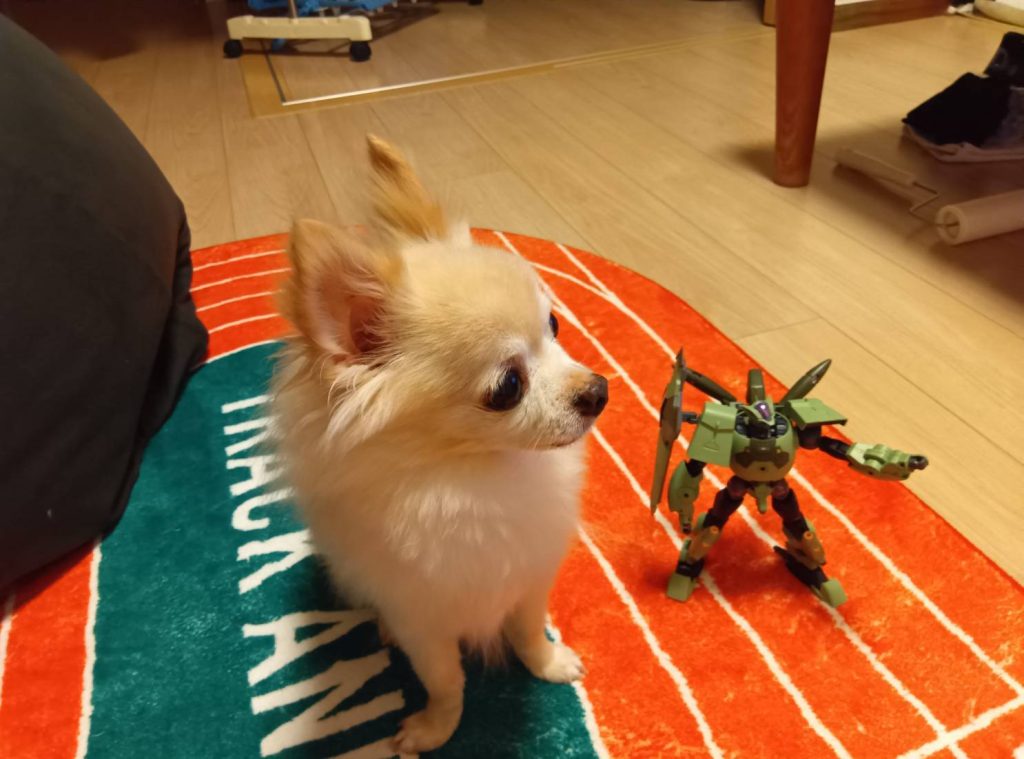 閲覧ありがとうございました(zaku-kao7)