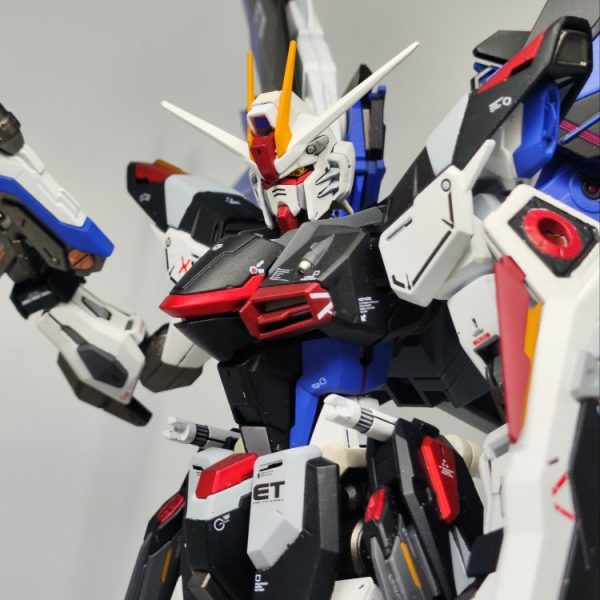 MG フリーダムガンダム Ver.2.0 スペースポリス仕様