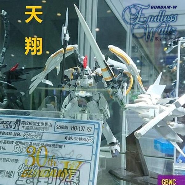 RG•トールギスフリューゲル(F)