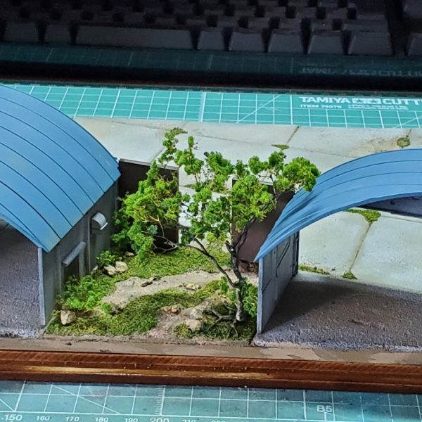 こちらにも植樹土台完成！（2枚目）