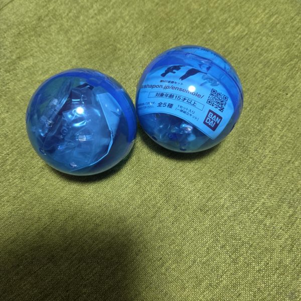 福岡弾、引いて来ました。