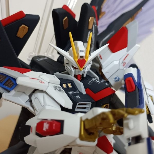 ストライクフリーダムガンダム弐式　光の翼セット