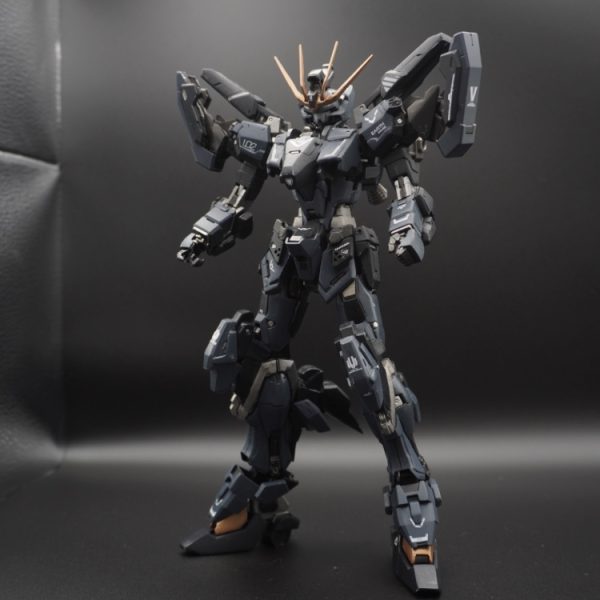 DUAL GUNDAM SPEC2 [REIMEI]