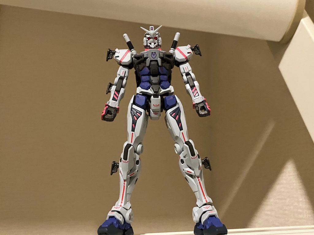 まずは武装なしデカールかなり貼って情報量を増やしました。胴体の目立つ部分の他に隠れポメラニアンがいます。