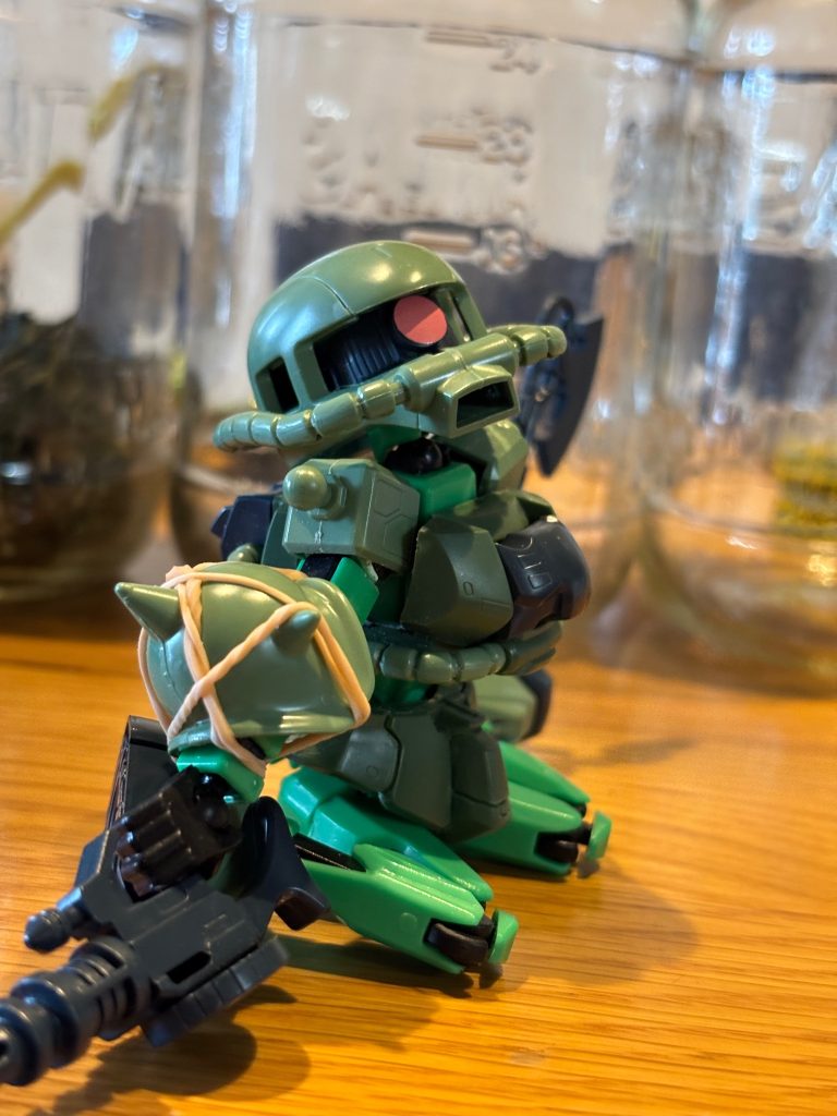 やっぱりプラモデルは買ってからすぐに作るに限ります✨