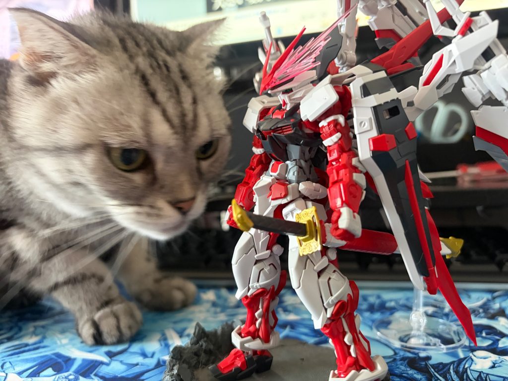 パチ組、ジ•O デュナメス　RGレッドドラゴン–4枚目/制作者：RIFA