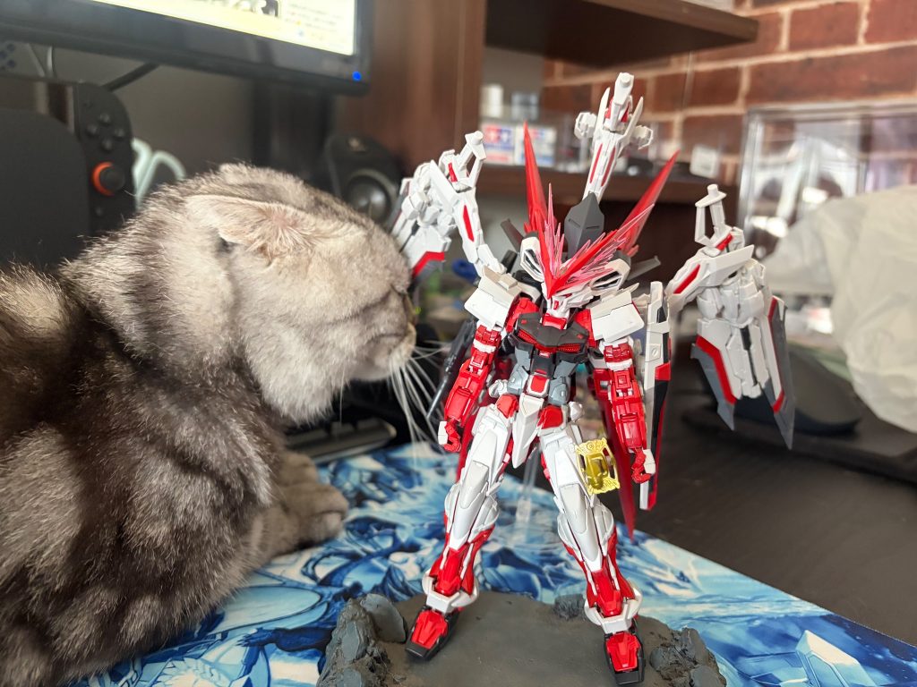 パチ組、ジ•O デュナメス　RGレッドドラゴン–3枚目/制作者：RIFA
