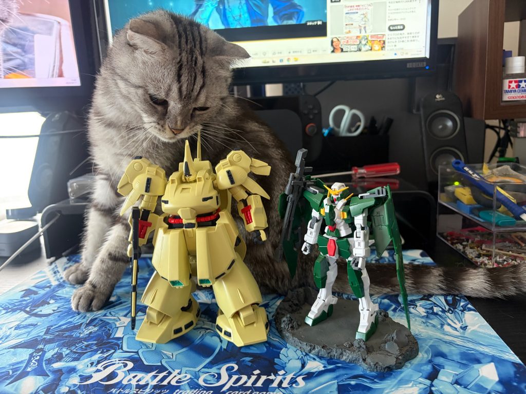 パチ組、ジ•O デュナメス　RGレッドドラゴン