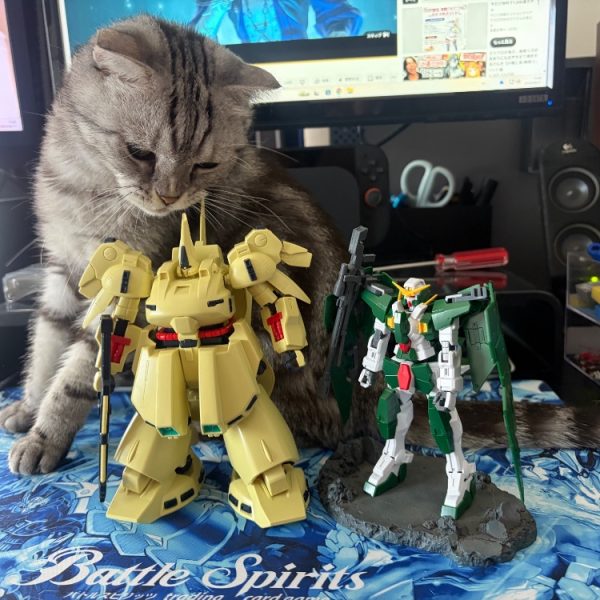 パチ組、ジ•O デュナメス　RGレッドドラゴン