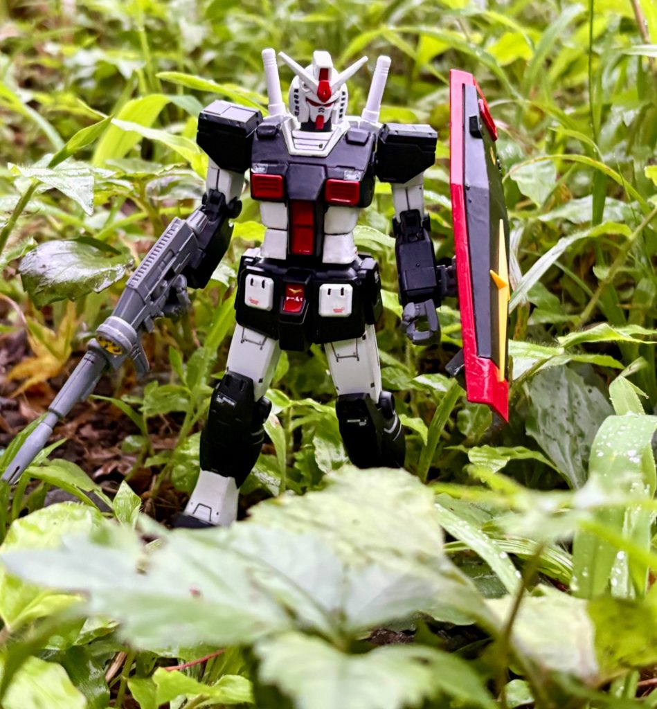今年は8月に入っても雨降りが続いているのでとても涼しい(zaku-kao5)