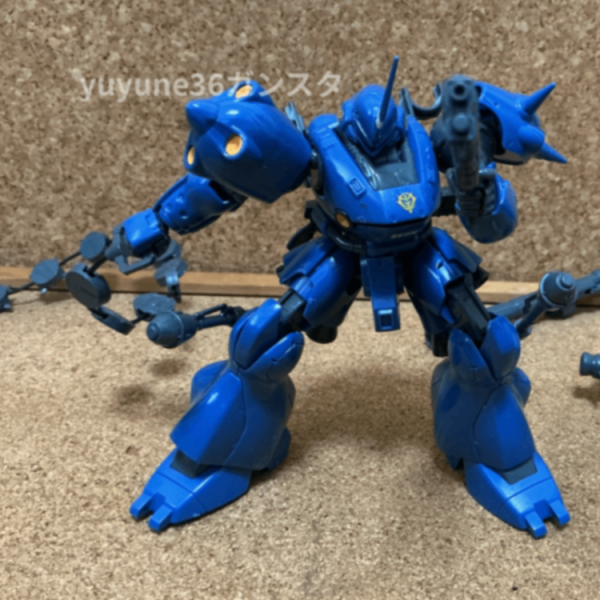 ケンプファー（光沢
