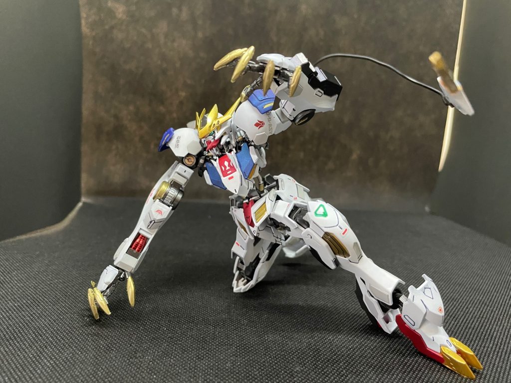新フレームのおかげでかなりポージングが取らせやすくなります