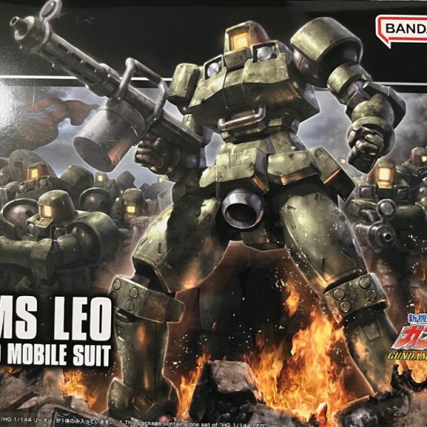 LEO