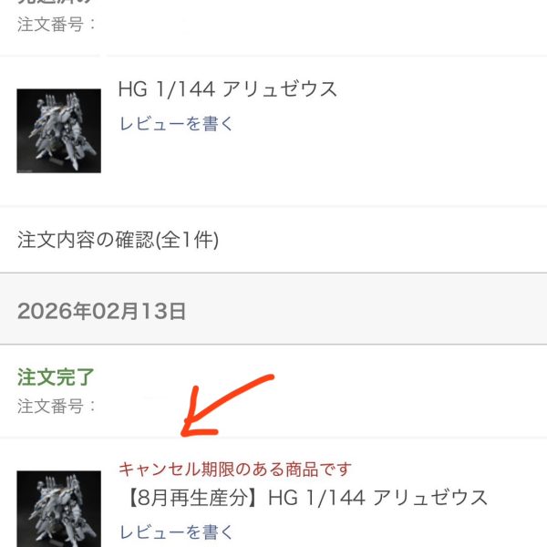 やらかした